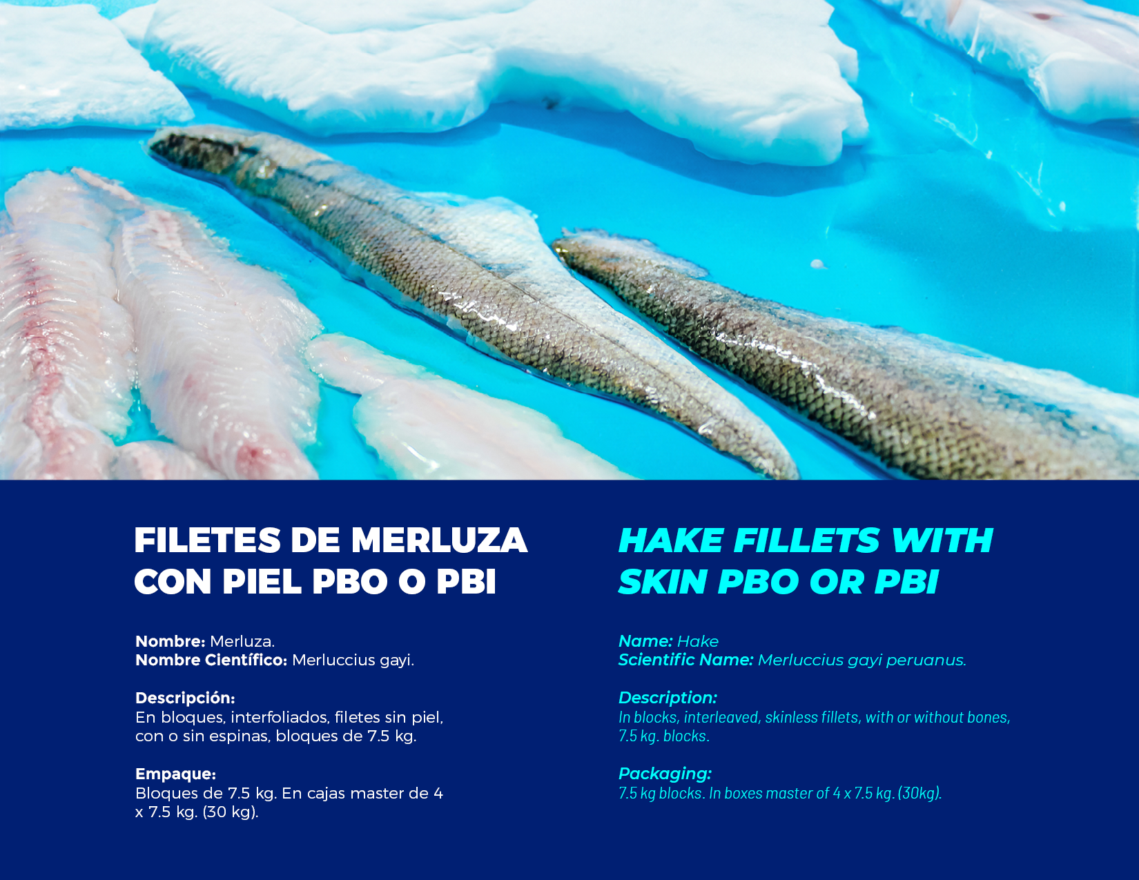 brochure 1